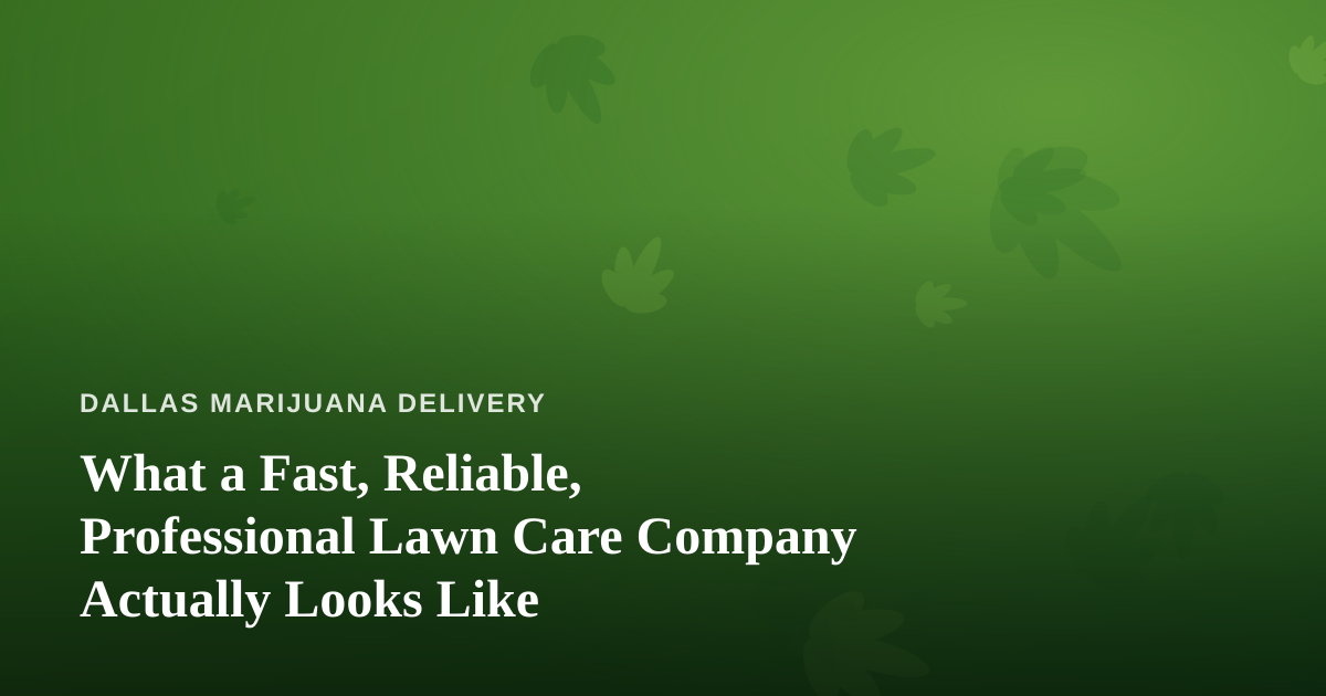 What a Fast, Reliable, Professional Lawn Care Company Actually Looks Like